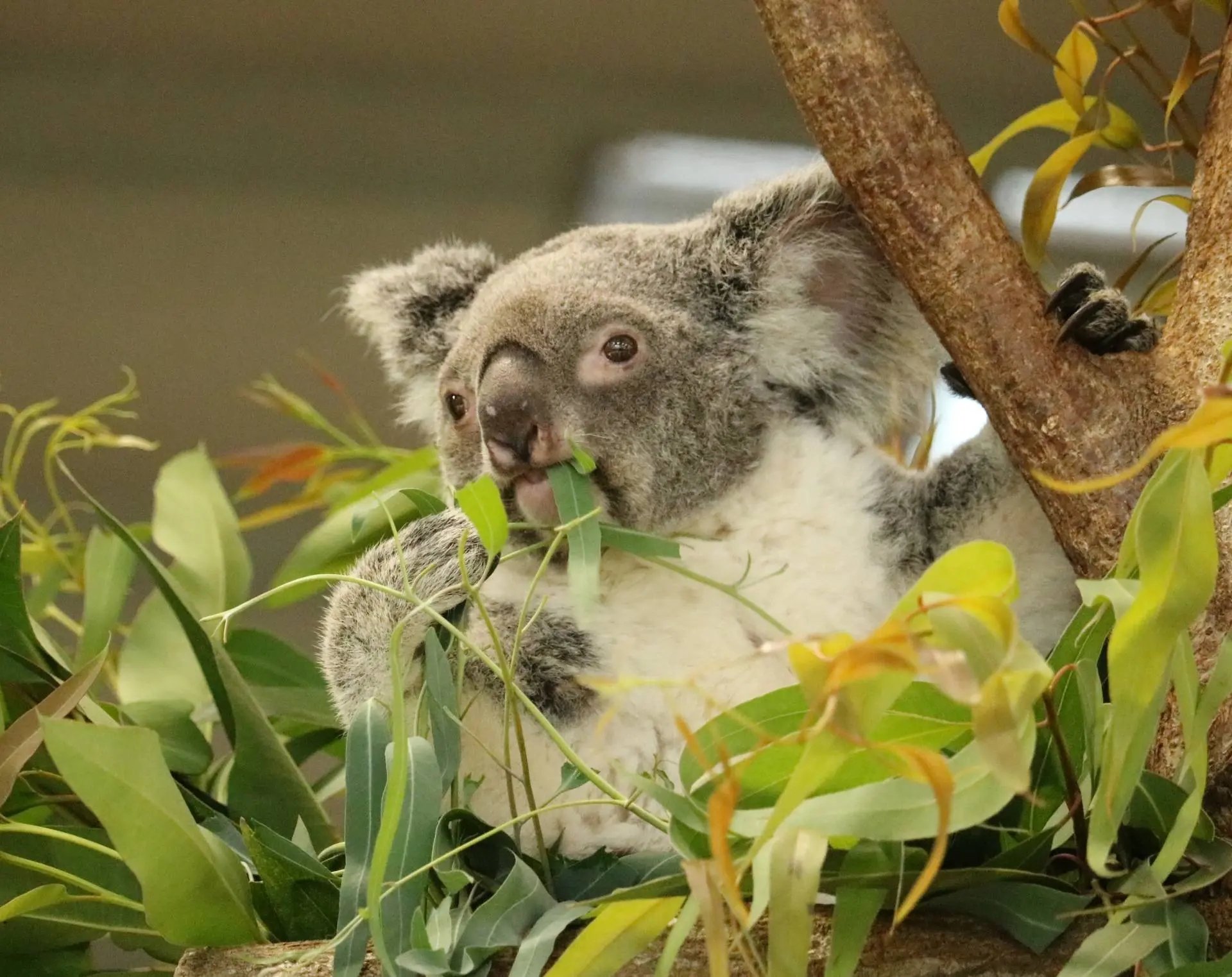 🦁 요코하마 시립 가나자와 동물원 이미지 8